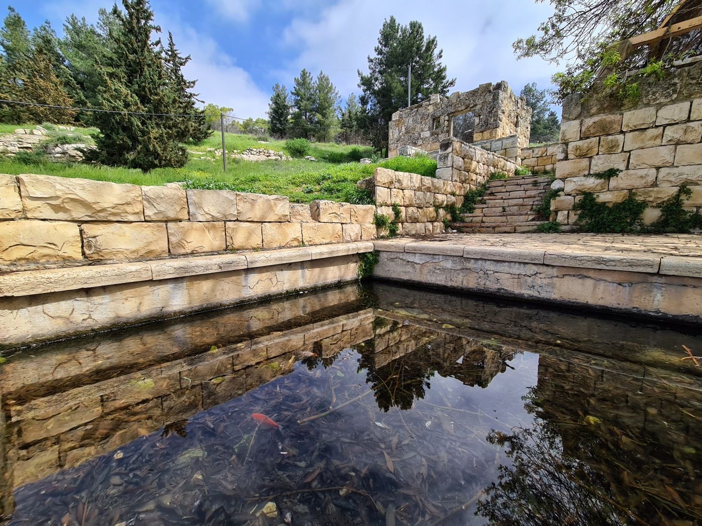 עין חובלה2_20220627134553.080.jpg